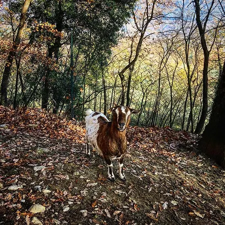 Podere Casanova Séjour à la ferme