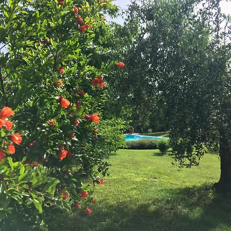 Séjour à la ferme Podere Casanova Montespertoli