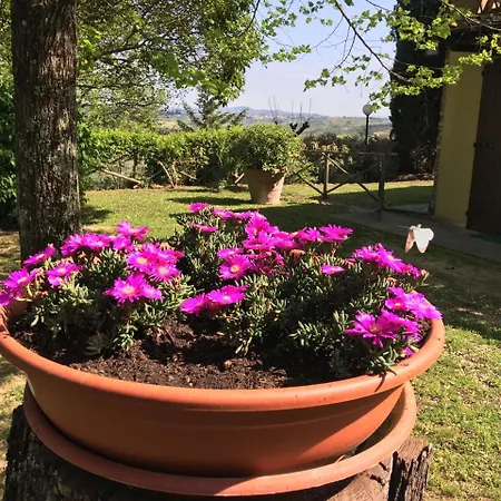 Podere Casanova Séjour à la ferme Montespertoli