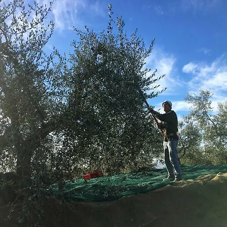Podere Casanova * Montespertoli