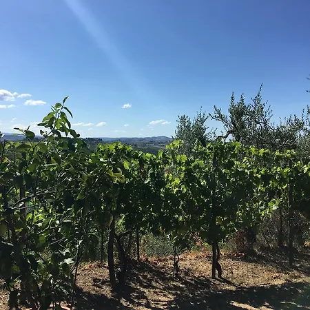 Farma Podere Casanova