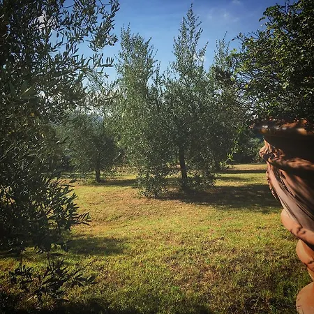 Podere Casanova